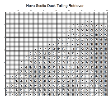 Stitching Jules Design Cross Stitch Pattern Nova Scotia Duck Tolling Retriever Dog Breed Monochrome Counted Cross-Stitch Pattern (Digital Download)