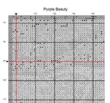 Stitching Jules Design Cross Stitch Pattern Purple Flower Rose Watercolor Cross Stitch Embroidery Needlepoint Pattern Instant PDF Download Pattern Keeper Ready