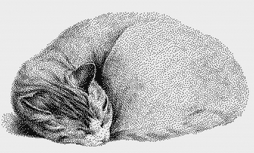 Stitching Jules Design Cross Stitch Pattern Sleeping Cat Monochrome Cross Stitch Pattern Digital Download