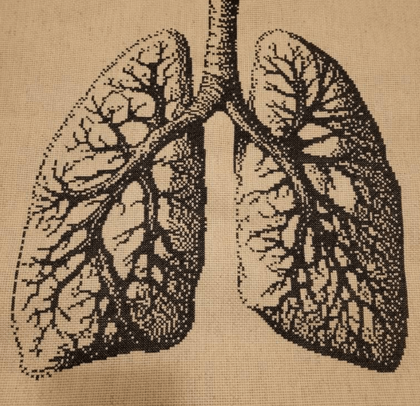 Stitching Jules Design Cross Stitch Pattern Anatomy Lungs Human Counted Cross-Stitch Pattern | Premium Cross-Stitch Pattern | Instant Download PDF