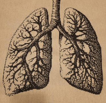 Stitching Jules Design Cross Stitch Pattern Anatomy Lungs Human Counted Cross-Stitch Pattern | Premium Cross-Stitch Pattern | Instant Download PDF