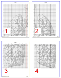 Thumbnail for Stitching Jules Design Cross Stitch Pattern Anatomy Lungs Human Counted Cross-Stitch Pattern | Premium Cross-Stitch Pattern | Instant Download PDF