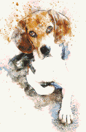 Stitching Jules Design Cross Stitch Pattern Beagle Dog Watercolor Cross Stitch Pattern