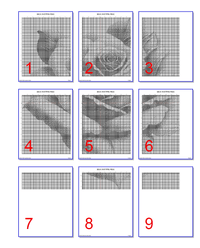 Thumbnail for Stitching Jules Design Cross Stitch Pattern Black And White Rose Cross Stitch Pattern Monochrome Instant PDF Download