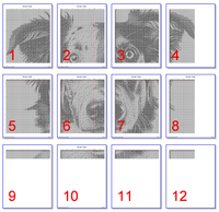 Thumbnail for Stitching Jules Design Cross Stitch Pattern Border Collie Counted Cross Stitch Pattern | Dog Cross Stitch | Monochrome Blackwork | Instant Download PDF