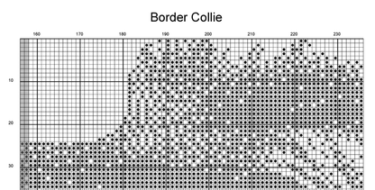 Stitching Jules Design Cross Stitch Pattern Border Collie Counted Cross Stitch Pattern | Dog Cross Stitch | Monochrome Blackwork | Instant Download PDF