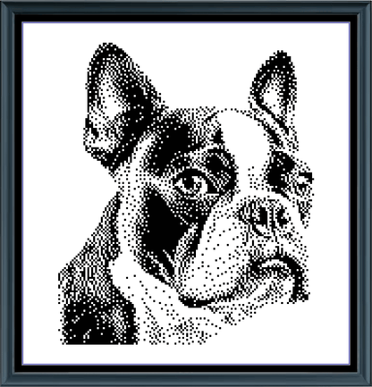 Stitching Jules Design Cross Stitch Pattern Boston Terrier Dog Breed Monochrome Counted Cross-Stitch Pattern (Digital Download)
