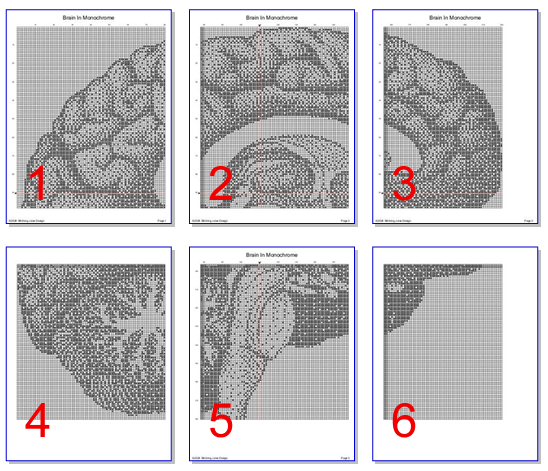 Stitching Jules Design Cross Stitch Pattern Brain Counted Cross Stitch Pattern | Anatomy Cross Stitch | Monochrome Blackwork | Instant Download PDF