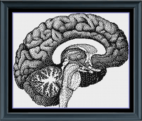 Thumbnail for Stitching Jules Design Cross Stitch Pattern Brain Counted Cross Stitch Pattern | Anatomy Cross Stitch | Monochrome Blackwork | Instant Download PDF