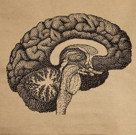 Stitching Jules Design Cross Stitch Pattern Brain Human Anatomy Premium Monochrome Counted Cross-Stitch Pattern | Instant Download PDF