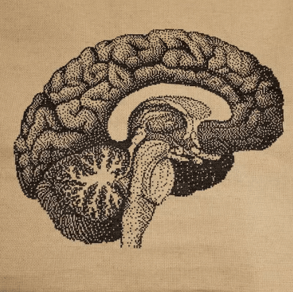 Stitching Jules Design Cross Stitch Pattern Brain Human Anatomy Premium Monochrome Counted Cross-Stitch Pattern | Instant Download PDF