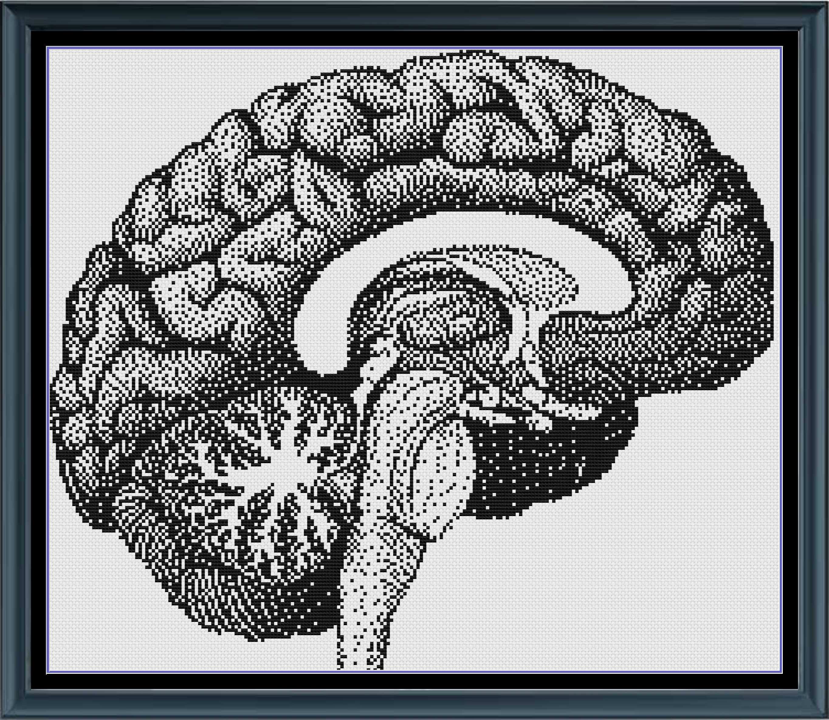 Stitching Jules Design Cross Stitch Pattern Brain Human Anatomy Premium Monochrome Counted Cross-Stitch Pattern | Instant Download PDF