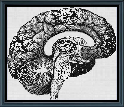 Stitching Jules Design Cross Stitch Pattern Brain Human Anatomy Premium Monochrome Counted Cross-Stitch Pattern | Instant Download PDF