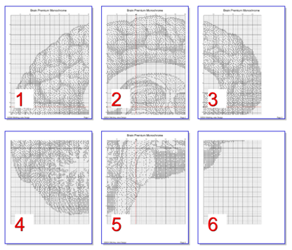 Stitching Jules Design Cross Stitch Pattern Brain Human Anatomy Premium Monochrome Counted Cross-Stitch Pattern | Instant Download PDF