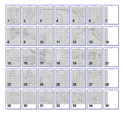 Stitching Jules Design Cross Stitch Pattern Buck Wildlife Hunting Full Coverage Large Counted Cross-Stitch Pattern (Digital Download)