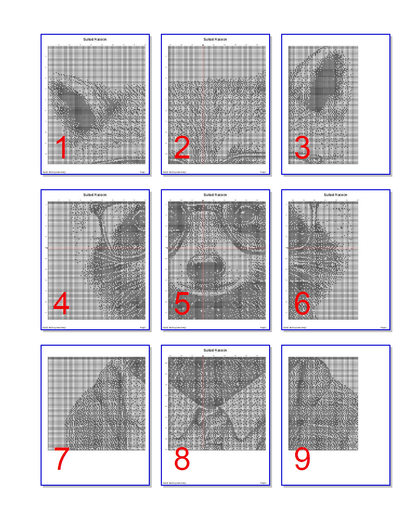 Stitching Jules Design Cross Stitch Pattern Cool Racoon Monochrome Blackwork Cross-Stitch Pattern Instant Download PDF