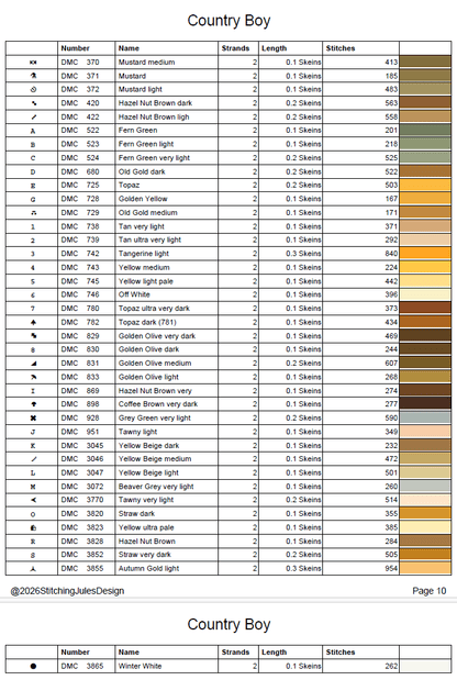 Stitching Jules Design Cross Stitch Pattern Country Boy Owl Folksy Counted Cross-Stitch Pattern (Digital Download)