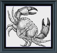 Thumbnail for Stitching Jules Design Cross Stitch Pattern Instant PDF Download - $10 Crab Crustacean Animal Ocean Monochrome Black White Counted Cross Stitch Pattern PDF Digital Download Pattern Keeper Ready