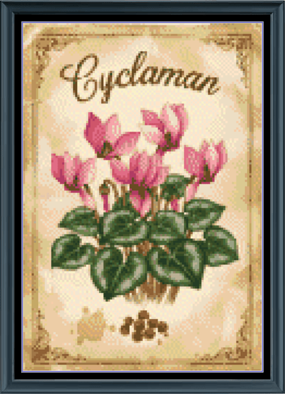 Stitching Jules Design Cross Stitch Pattern Cyclaman Winter Flower Full Coverage Counted Cross-Stitch Pattern (Digital Download)