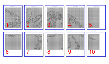 Stitching Jules Design Cross Stitch Pattern Dinosaur Cross Stitch Pattern | Skeleton Cross Stitch Pattern | Blackwork | Instant PDF Download And Physical Pattern Options