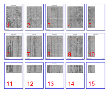 Stitching Jules Design Cross Stitch Pattern Forest Winter Trees Blizzard Landscape Monochrome Black White Counted Cross Stitch Pattern PDF Digital Download Pattern Keeper Ready