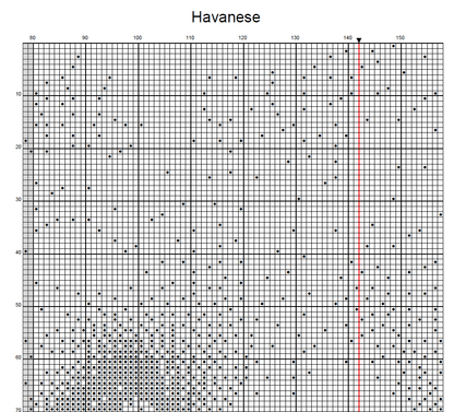 Stitching Jules Design Cross Stitch Pattern Havanese Dog Monochrome Counted Cross-Stitch Pattern (Digital Download)