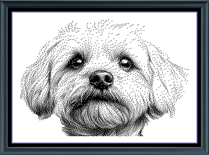 Stitching Jules Design Cross Stitch Pattern Havanese Dog Monochrome Counted Cross-Stitch Pattern (Digital Download)