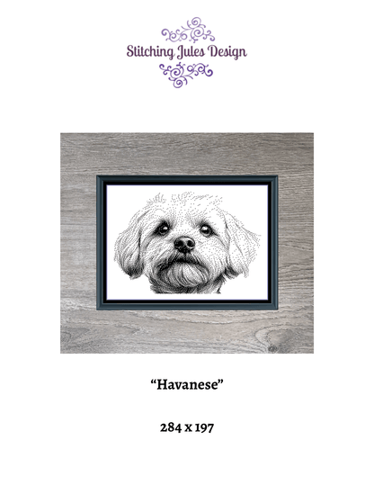 Stitching Jules Design Cross Stitch Pattern Havanese Dog Monochrome Counted Cross-Stitch Pattern (Digital Download)