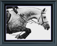 Thumbnail for Stitching Jules Design Cross Stitch Pattern Instant PDF Download - $10 Horse Cross Stitch Pattern | Equestrian Cross Stitch Pattern | Blackwork | Instant PDF Download And Physical Pattern Options