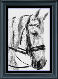 Thumbnail for Stitching Jules Design Cross Stitch Pattern Horse Head Equine Animal Monochrome Cross Stitch Needlepoint Embroidery Pattern - Instant Download - Pattern Keeper Ready