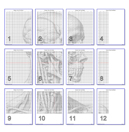 Stitching Jules Design Cross Stitch Pattern Human Anatomy Head Neck Monochrome Counted Cross Stitch Pattern (Digital Download)