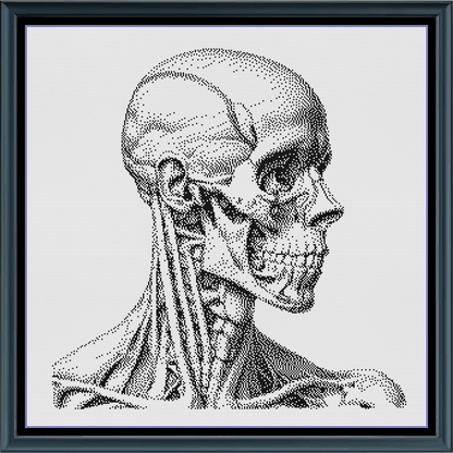 Stitching Jules Design Cross Stitch Pattern Human Anatomy Head Neck Monochrome Counted Cross Stitch Pattern (Digital Download)