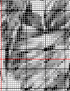 Stitching Jules Design Cross Stitch Pattern Human Back Muscles Greyscale Cross Stitch Pattern Instant PDF Download