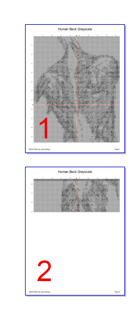 Stitching Jules Design Cross Stitch Pattern Human Back Muscles Greyscale Cross Stitch Pattern Instant PDF Download