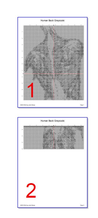 Stitching Jules Design Cross Stitch Pattern Human Back Muscles Greyscale Cross Stitch Pattern Instant PDF Download