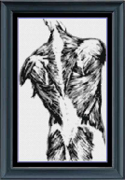 Stitching Jules Design Cross Stitch Pattern Human Back Muscles Greyscale Cross Stitch Pattern Instant PDF Download