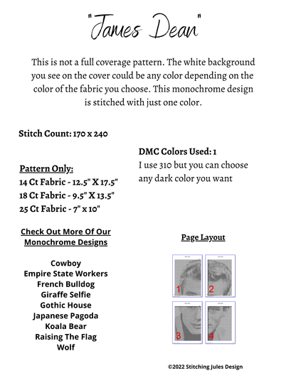Stitching Jules Design Cross Stitch Pattern James Dean Monochrome Cross Stitch Embroidery Needlepoint Pattern PDF Download