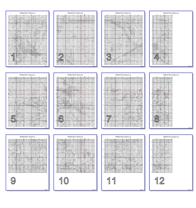 Stitching Jules Design Cross Stitch Pattern Medium Buck Engraving Full Coverage Counted Cross-Stitch Pattern (Digital Download)