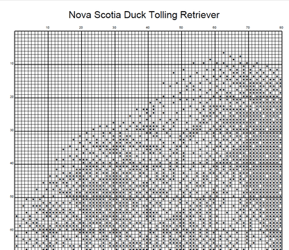 Stitching Jules Design Cross Stitch Pattern Nova Scotia Duck Tolling Retriever Dog Breed Monochrome Counted Cross-Stitch Pattern (Digital Download)