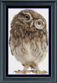 Thumbnail for Stitching Jules Design Cross Stitch Pattern Owl Cross Stitch Pattern | Animal Cross Stitch Pattern | PDF Download