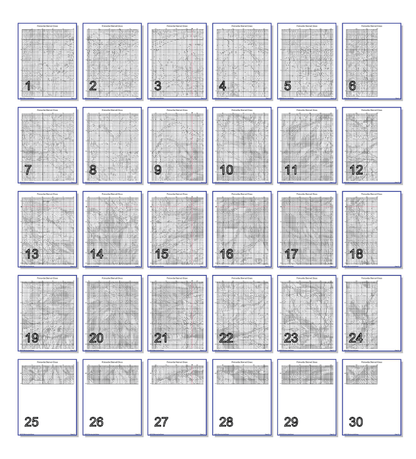 Stitching Jules Design Cross Stitch Pattern Poinsettia Flowers Floral Stained Glass Full Coverage Counted Cross-Stitch Pattern (Digital Download)