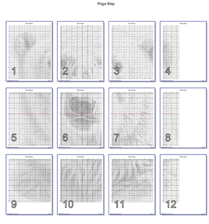 Stitching Jules Design Cross Stitch Pattern Polar Bear Wild Animal Monochrome Counted Cross-Stitch Pattern (Digital Download)