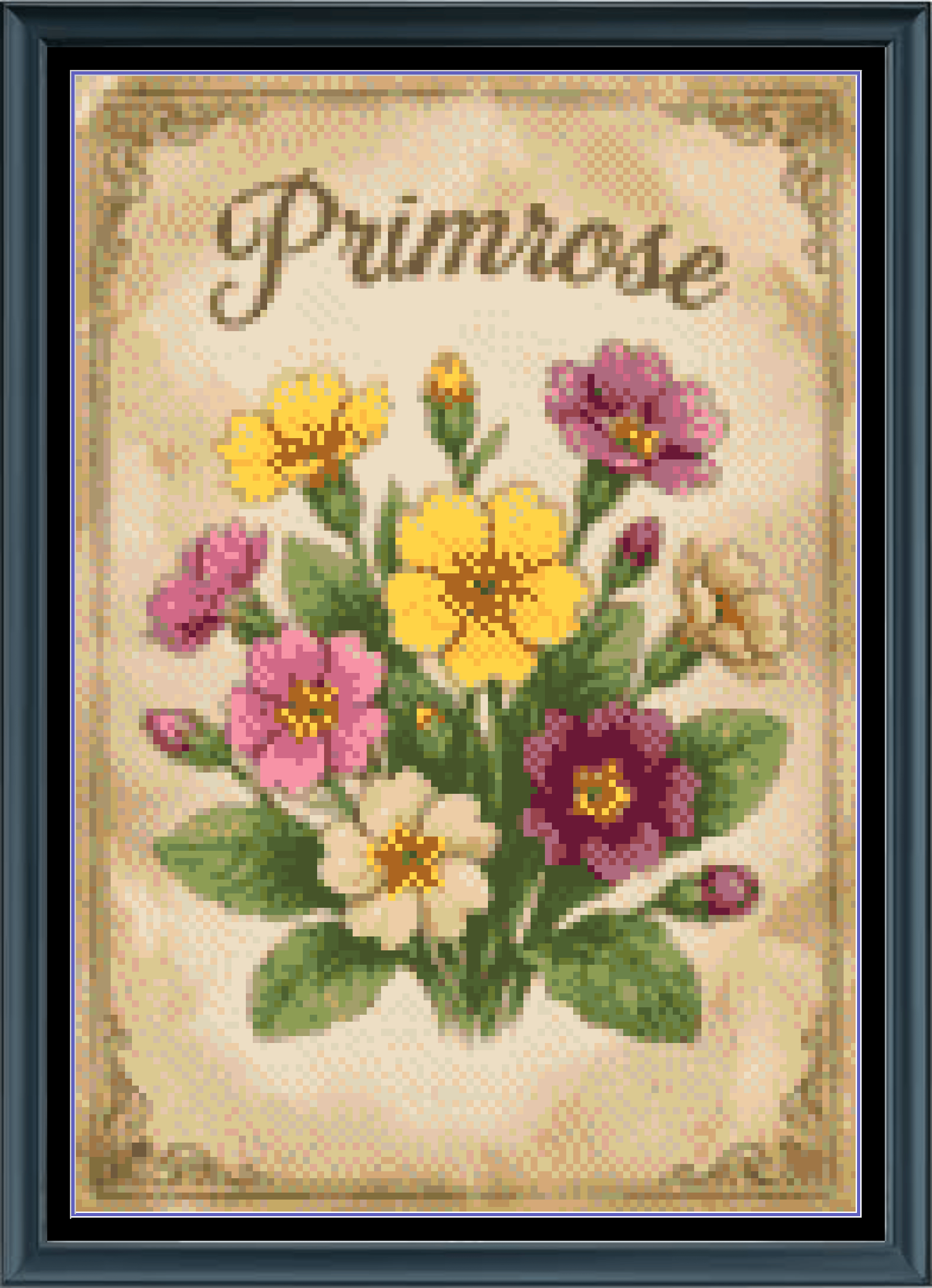 Stitching Jules Design Cross Stitch Pattern Primrose Winter Flower Full Coverage Counted Cross-Stitch Pattern (Digital Download)