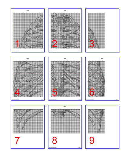 Stitching Jules Design Cross Stitch Pattern Ribs Cross Stitch Pattern | Human Anatomy Cross Stitch Pattern | Monochrome | Instant PDF Download