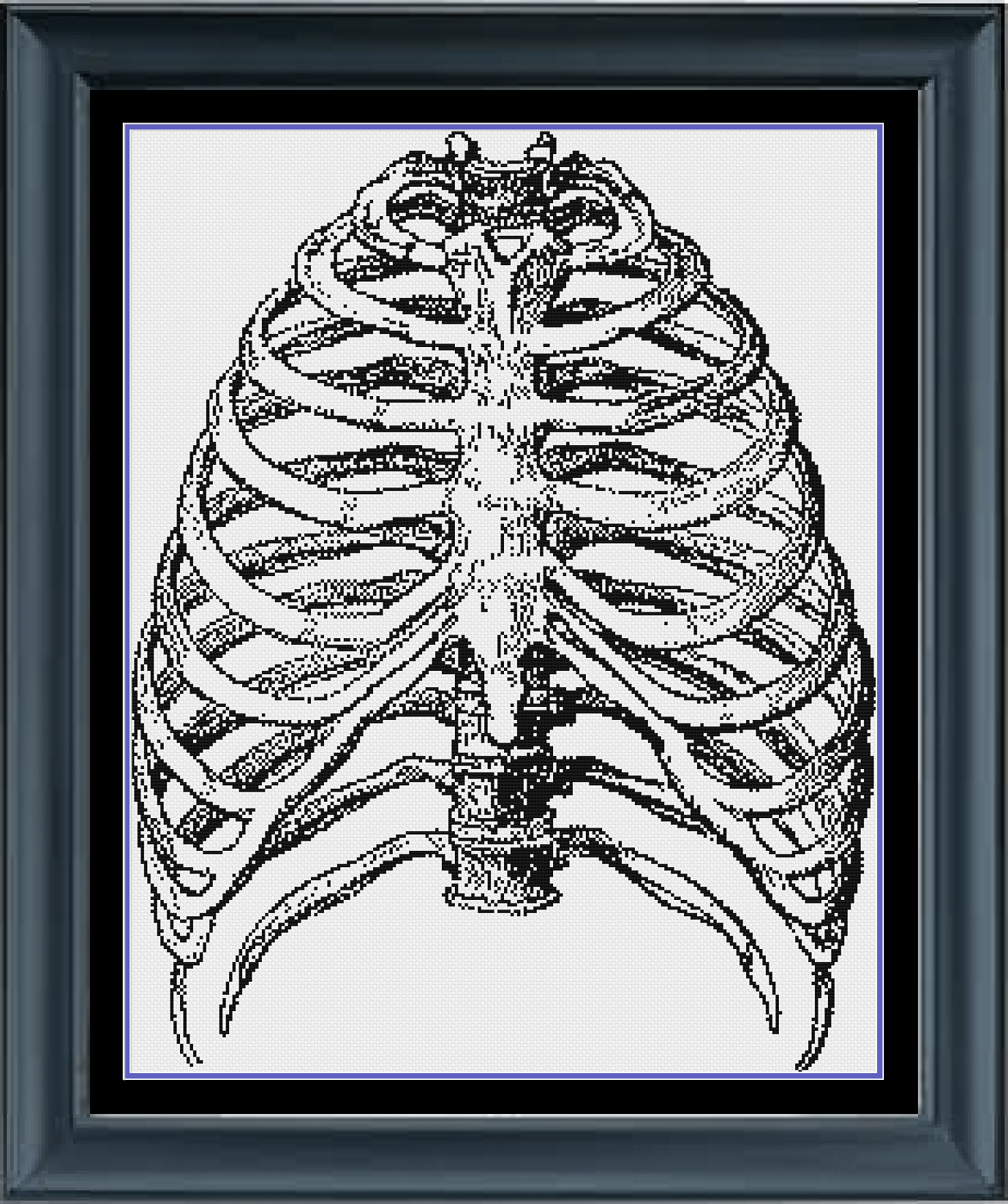 Stitching Jules Design Cross Stitch Pattern Ribs Cross Stitch Pattern | Human Anatomy Cross Stitch Pattern | Monochrome | Instant PDF Download