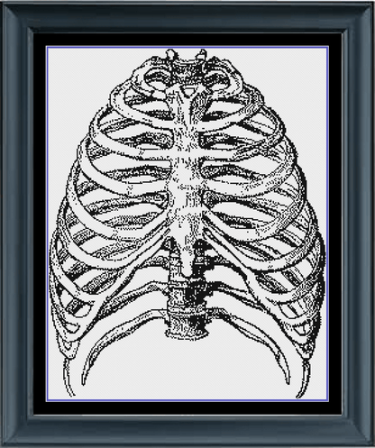 Stitching Jules Design Cross Stitch Pattern Ribs Cross Stitch Pattern | Human Anatomy Cross Stitch Pattern | Monochrome | Instant PDF Download