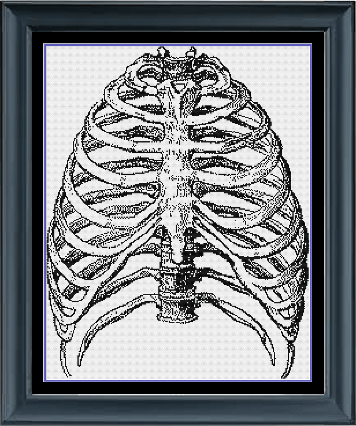 Ribs Cross Stitch Pattern | Human Anatomy Cross Stitch Pattern | Monoc ...