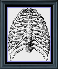 Thumbnail for Stitching Jules Design Cross Stitch Pattern Ribs Cross Stitch Pattern | Human Anatomy Cross Stitch Pattern | Monochrome | Instant PDF Download