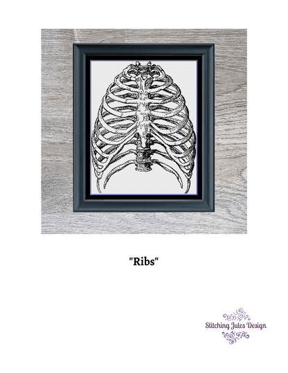 Stitching Jules Design Cross Stitch Pattern Ribs Cross Stitch Pattern | Human Anatomy Cross Stitch Pattern | Monochrome | Instant PDF Download