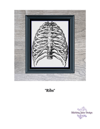 Thumbnail for Stitching Jules Design Cross Stitch Pattern Ribs Cross Stitch Pattern | Human Anatomy Cross Stitch Pattern | Monochrome | Instant PDF Download